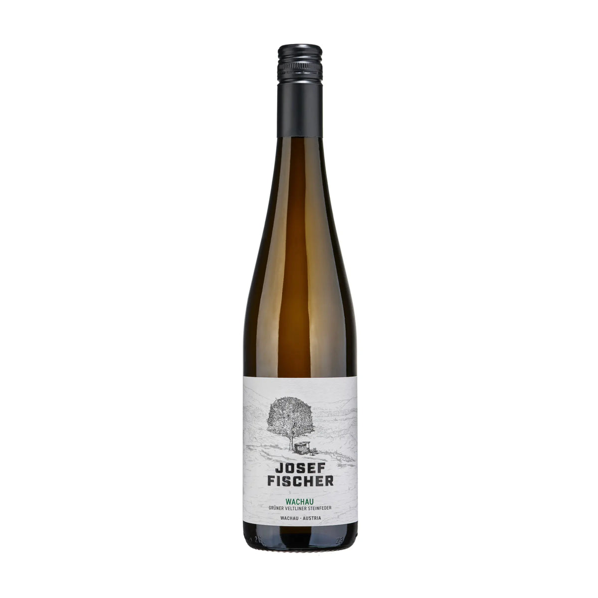 Weingut Josef Fischer-Weißwein-Grüner Veltliner-Österreich-Wachau-2023 Grüner Veltiner Steinfeder-WINECOM