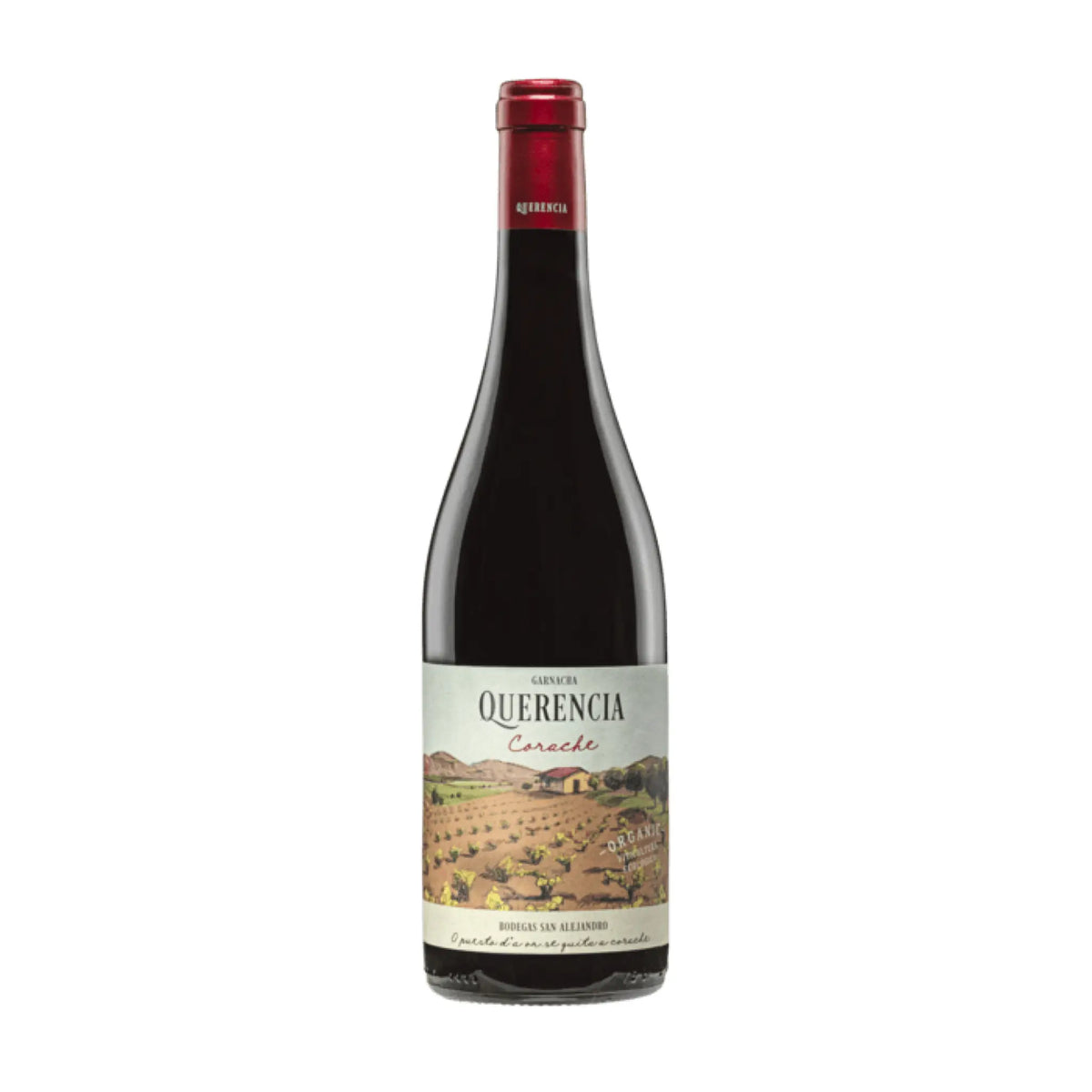 Querencia-Corache DO Calatayud, Rotwein aus der Region Aragonien, Spanien