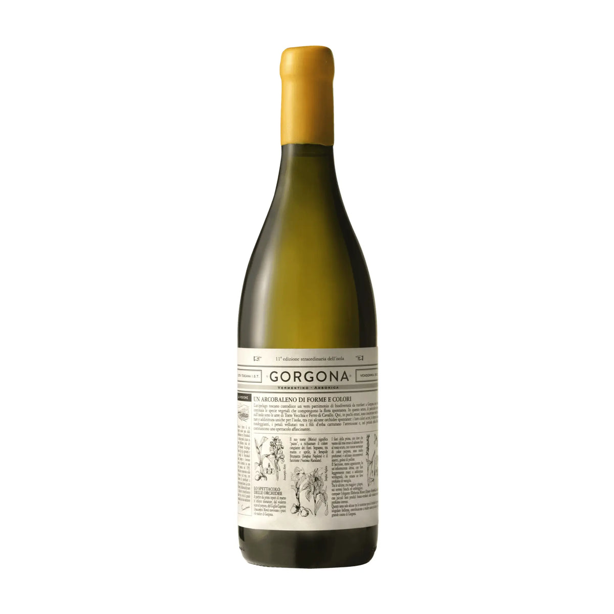 Frescobaldi-Gorgona Bianco IGT, Weißwein aus der Region Toskana, Italien