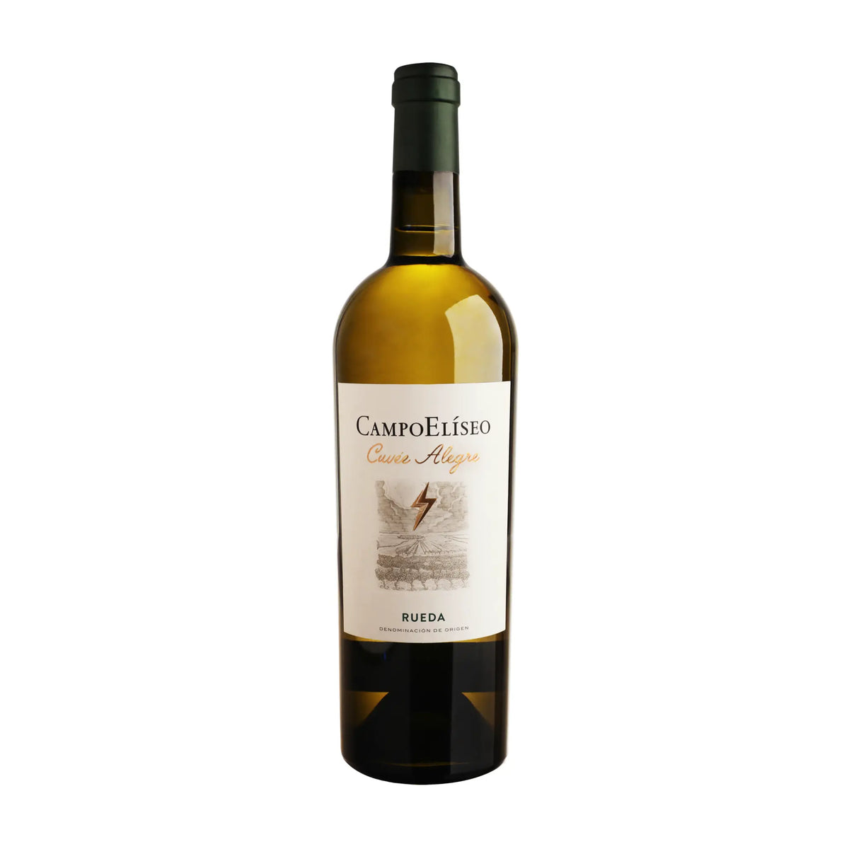 Campo Eliseo-Weißwein-Verdejo-Spanien-Rueda-2022 Cuvée Alegre Verdejo-WINECOM