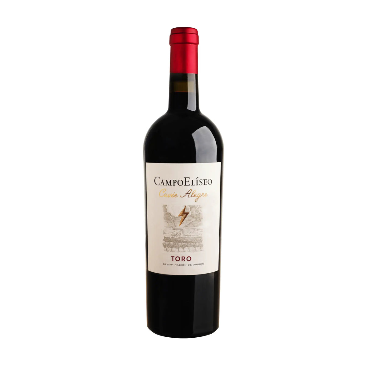 Campo Eliseo-Rotwein-Tinta de Toro-Spanien-Toro-2019 Cuvée Alegre Tinta de Toro-WINECOM