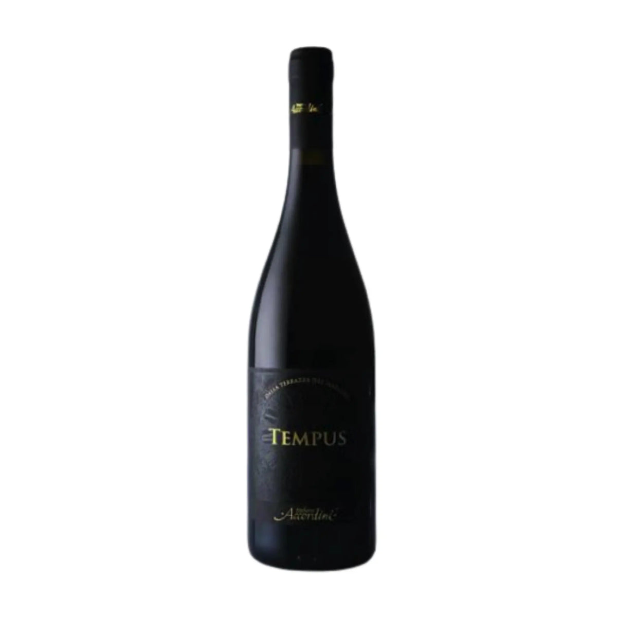 Stefano Accordini-Rotwein-90% Corvina, 5% Rondinella, 5% Merlot-2022 Tempus Rosso del Veneto IGT-WINECOM