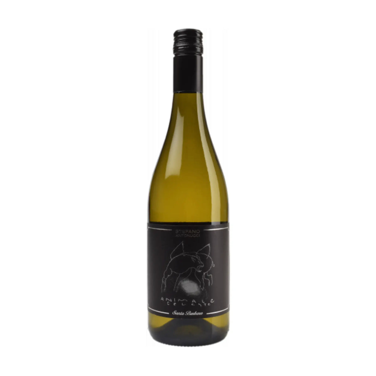 Azienda Santa Barbara s.r.l. - 2023 Animale Celeste Sauvignon Blanc, Weißwein aus der Region Apulien, Italien